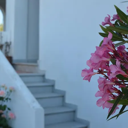 Naxos