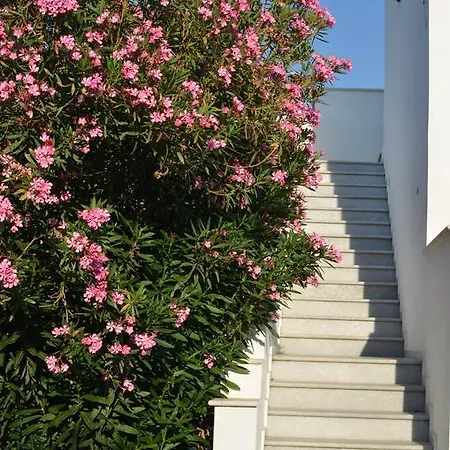 Naxos 3*